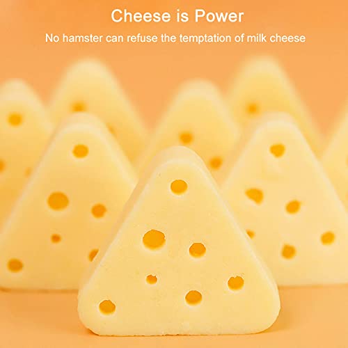 New Hamster Triangle Cheese Teething Treats | Freeze-dried Cheese
