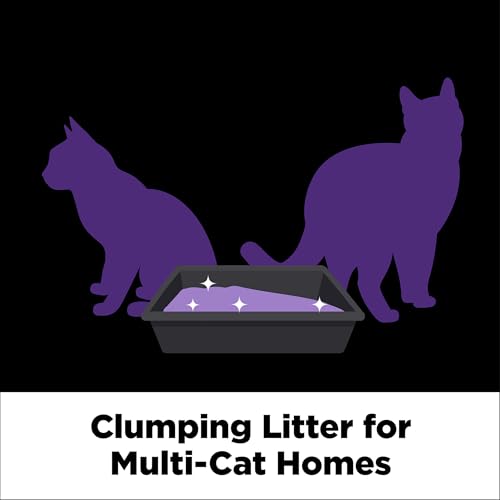 New ARM & HAMMER Clump & Seal SLIDE Platinum Multi-Cat Clumping Cat Litter | 37 lb