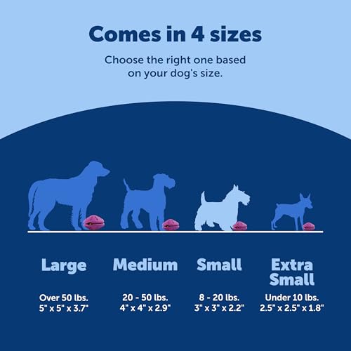 New PetSafe Busy Buddy Twist ’n Treat | Purple, Small