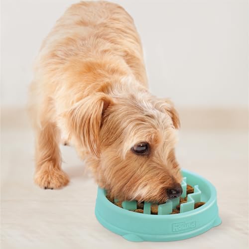 New Outward Hound Small Fun Feeder Slow Bowl (Puzzle) | Mint, ¾ Cup