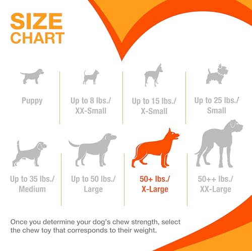 New Nylabone Textured Ring Power Chew | Flavor Medley, X-Large (50+ lbs)