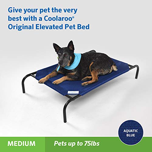 New Coolaroo Original Elevated Dog Bed | Aquatic Blue, Medium