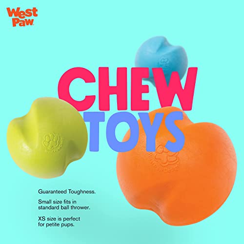 New West Paw Zogoflex Jive Ball | Aqua Blue, X-Small (2")