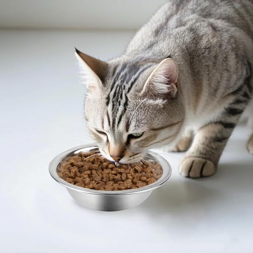New ZUFECY 2-Pack Cat Bowls Stainless Steel | 2 pack, Stainless steel