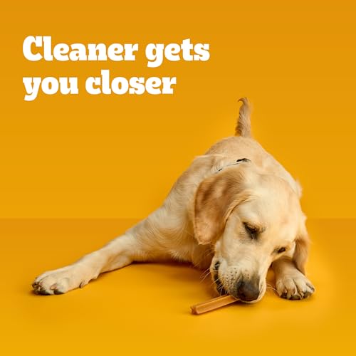 New Pedigree Dentastix Large Breed Dog Treats | Original • 1.66 lb (32 treats)