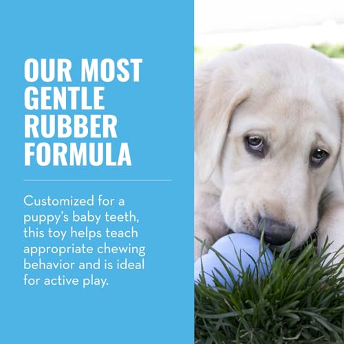 New KONG Puppy Teething Rubber Toy | Blue, Small