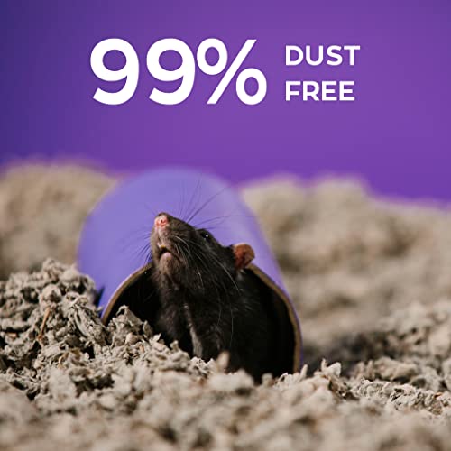 New Carefresh 99% Dust-Free Natural Paper Small Pet Bedding | Natural, 60 L