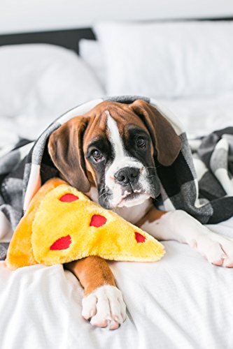 New ZippyPaws NomNomz Squeaky Plush | Pizza, Small/Medium