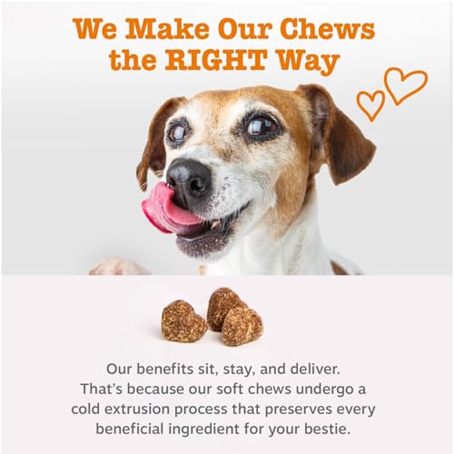 New Zesty Paws Salmon Oil Omega-3 Chews | Salmon, 90 Count