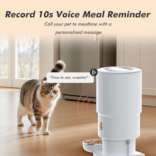 New Automatic Cat Feeder Anti-Clog Cat Food Dispenser | 5L
