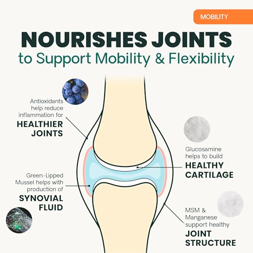 New VetriScience GlycoFlex 3 Hip & Joint Chews | Chicken, 120 Count