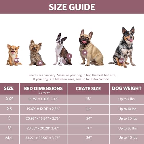 New MidWest Homes for Pets QuietTime Fashion XXS Dog Bed | Pink Faux Fur Bolster, 18 Inch