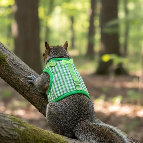 New Guduling Guinea Pig Harness and Leash | Green Plaid
