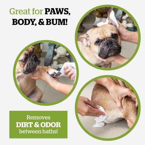 New Pogi’s Dog Grooming Wipes | Fragrance Free, 100-Count