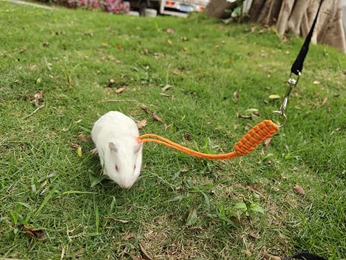 New GOMICRAFT Handmade Figure 8 Harness and Leash for Small Animals | Pack of 2