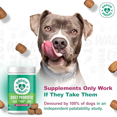 New Doggie Dailies Probiotics Soft Chews | Duck, 225 Count