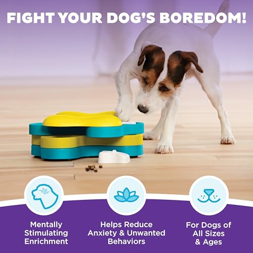 New Outward Hound Nina Ottosson Dog Tornado Puzzle | Blue, One Size (Level 2)