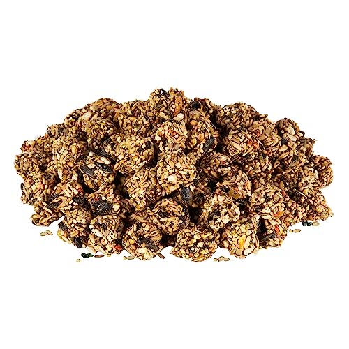 New Kaytee Granola Bites with Superfoods for Small Animals | 4.5oz, Pack of 2