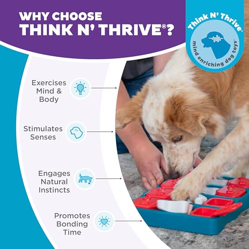 New Outward Hound Nina Ottosson Dog Brick Puzzle | Blue, One Size (Level 2)