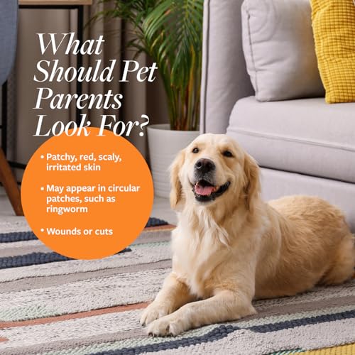 New Veterinary Formula Clinical Care Antiseptic & Antifungal Shampoo | 16 fl oz