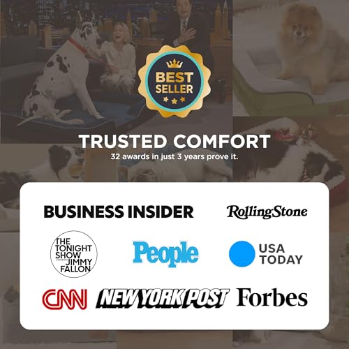 New Bedsure Orthopedic Dog Beds for Small Dogs | Grey, 24"