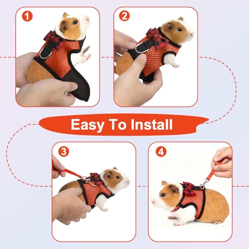 New Guinea Pig Harness and Leash | 2packs - Blue + Orange