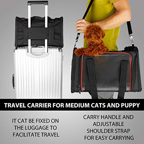 New XZONE PET Soft Sided Collapsible Travel Carrier | Medium Gray