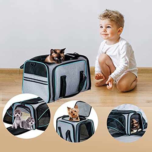 New Cat Dog Carrier Expandable Soft-Sided Carrier | Large, 2-Side Expandable
