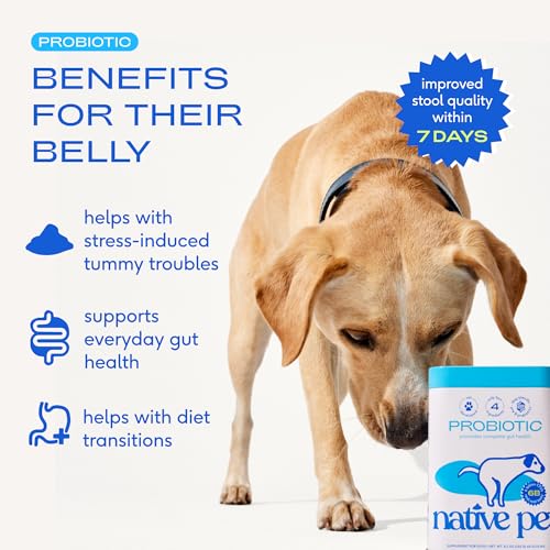 New Native Pet Probiotics Powder | 60 Scoops