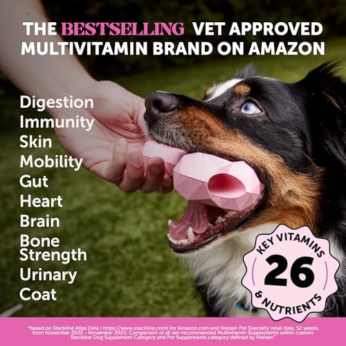 New Dog Multivitamin 10-in-1 Vitamins | Chicken, 180 Count