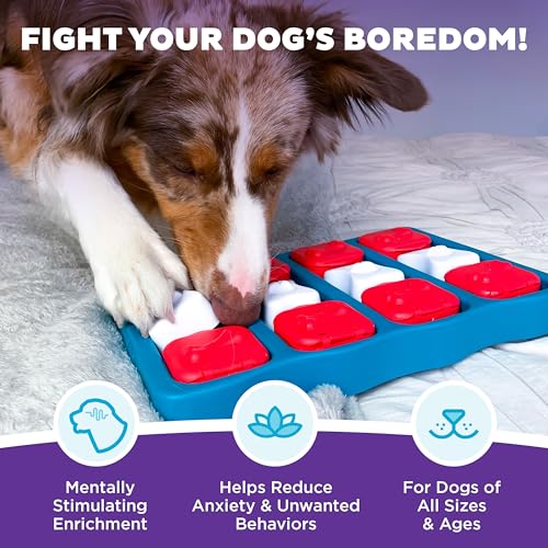 New Outward Hound Nina Ottosson Dog Brick Puzzle | Blue, One Size (Level 2)