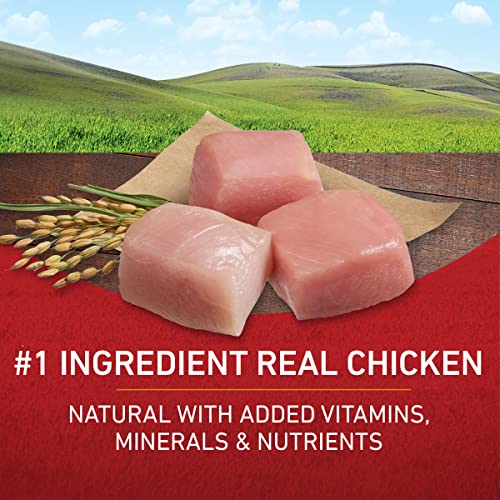 New Purina ONE Dry Dog Food | Chicken & Rice • 40 lb