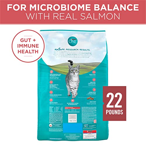 New Purina ONE Natural Dry Cat Food Tender Selects with Real Salmon | 22 lb bag, Real Salmon