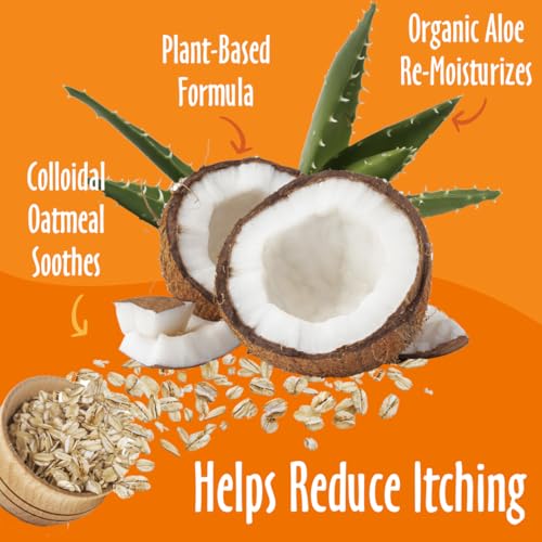 New earthbath Oatmeal & Aloe Dog Shampoo | Vanilla & Almond, 16 oz (2-Pack)