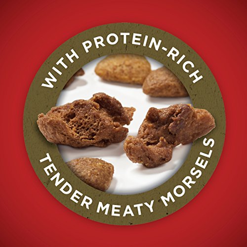 New Purina ONE Dry Dog Food | Lamb & Rice • 16.5 lb