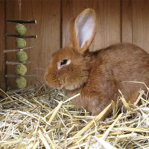 New LWINGFLYER Bunny Chew Toys Apple Wood Chews Cage Hanging Grass Cake Snack | 4 pack