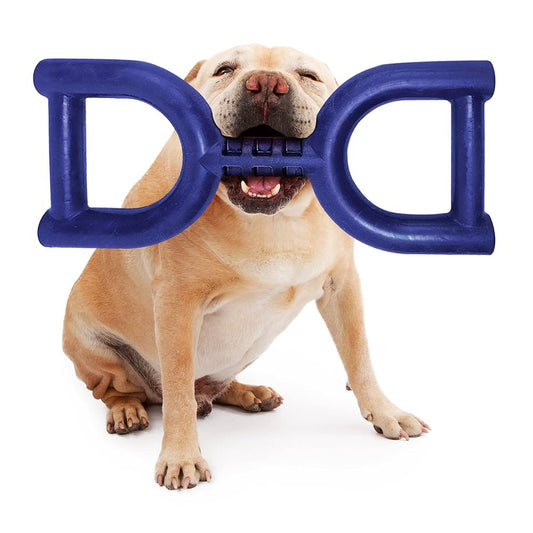 The Little Things That Make a Big Difference in Pet Care | Daily Pet Love