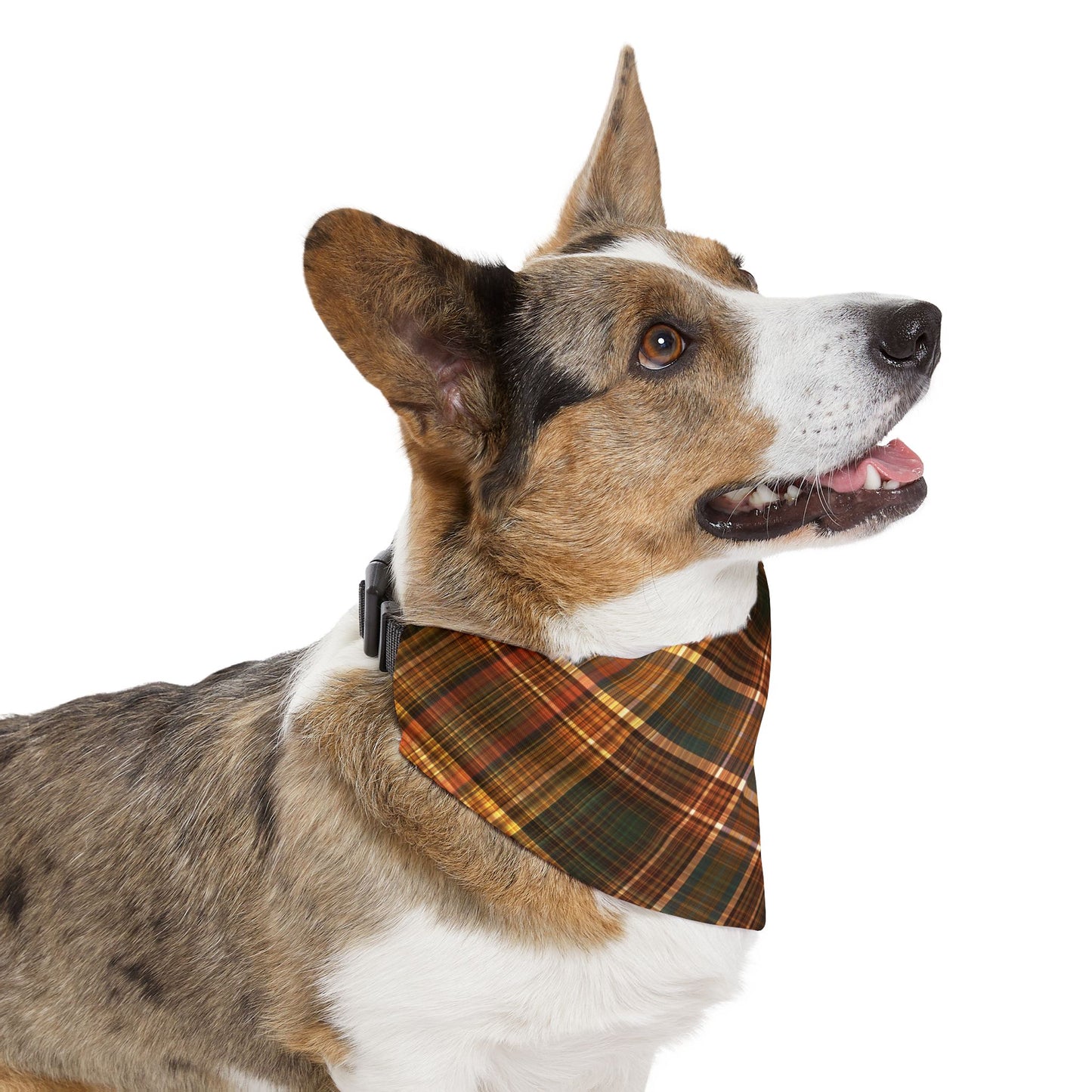 Personalized Plaid Pet Bandana Collar — Custom Name (Autumn Tartan)