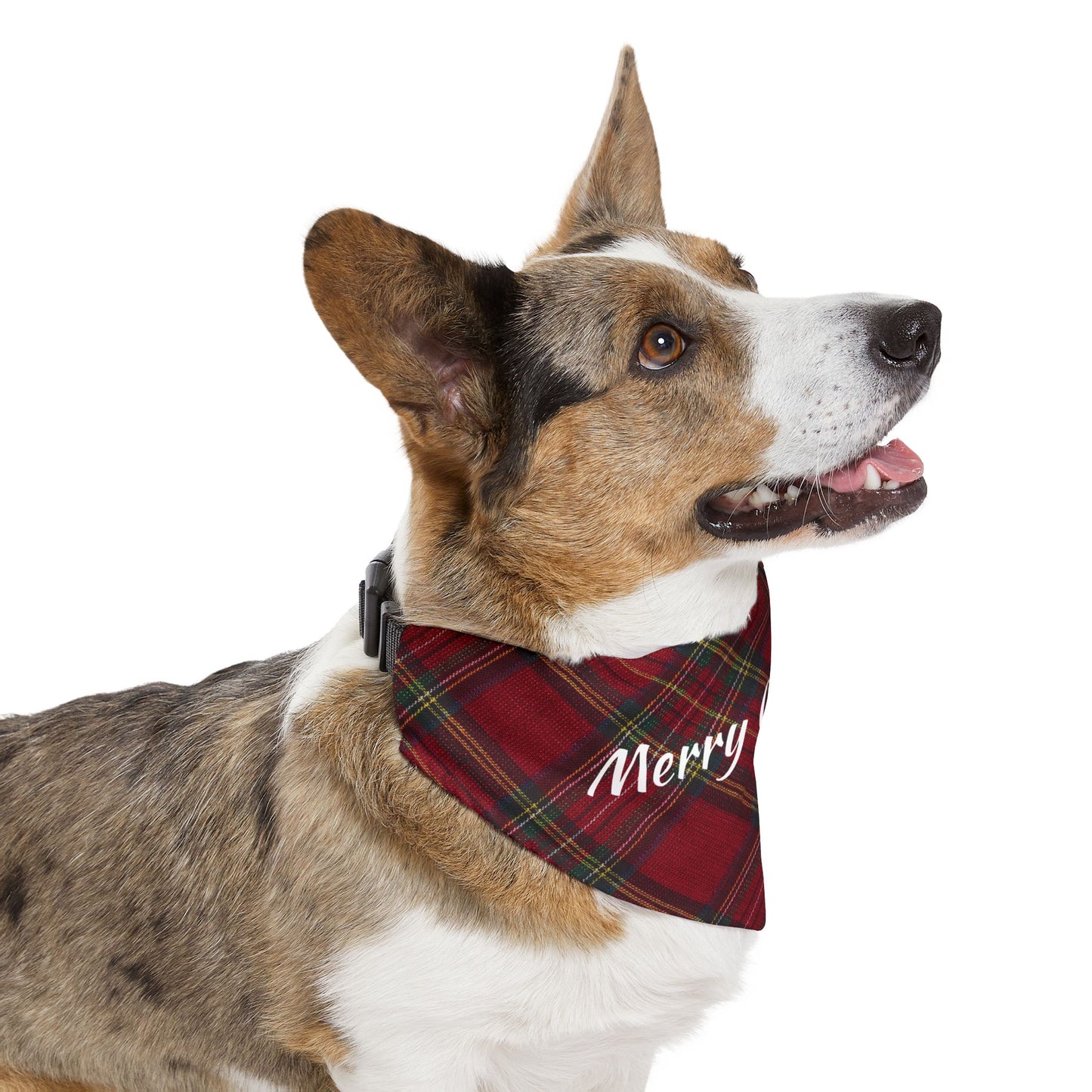 Merry Christmas Plaid Pet Bandana Collar | S, M, L, XL