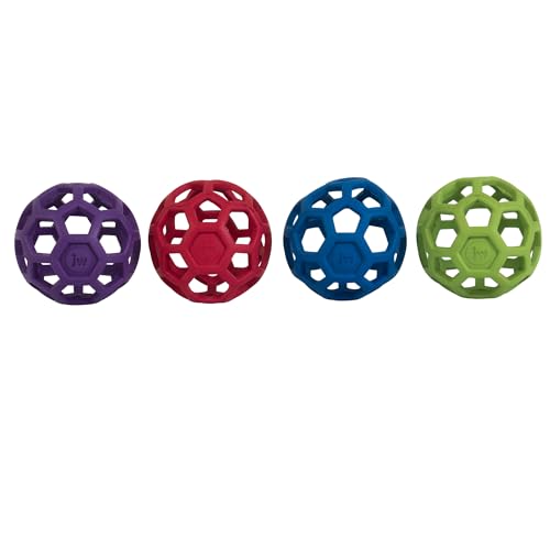 New JW Pet Hol-ee Roller Puzzle Ball | Assorted, Medium (4.5")