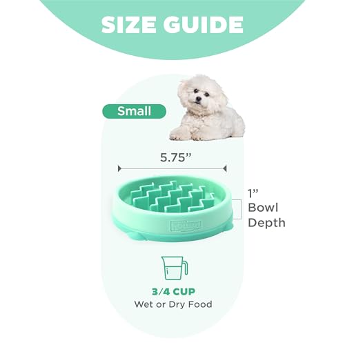 New Outward Hound Small Fun Feeder Slow Bowl (Puzzle) | Mint, ¾ Cup