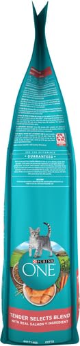 New Purina ONE Natural Dry Cat Food Tender Selects with Real Salmon | 7 lb bag, Real Salmon