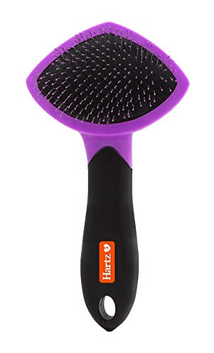 New Hartz Groomer's Best Small Slicker Brush for Cats and Small Dogs | Black/Violet, 1 count
