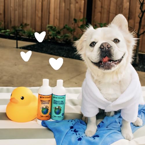 New earthbath Oatmeal & Aloe Dog Shampoo | Vanilla & Almond, 16 oz (2-Pack)