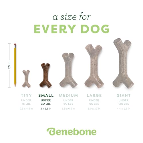 New Benebone Maplestick Durable Chew | Brown, Small