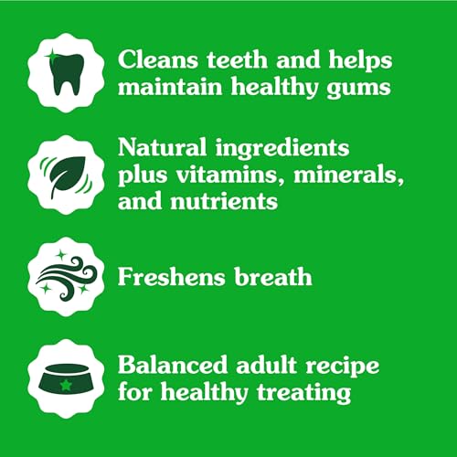New Greenies Original Regular Dental Dog Treats | 6 oz (6 treats)