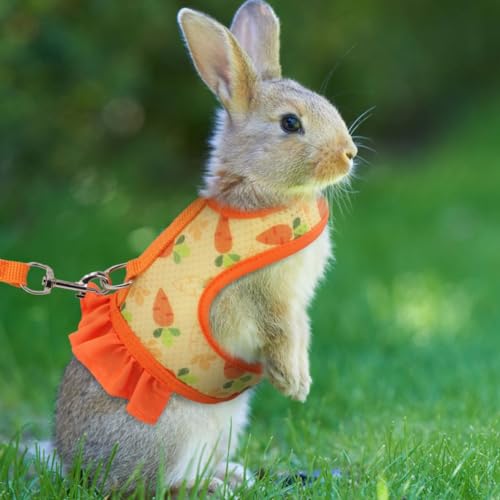 New Hotlion Guinea Pig Harness and Leash Set | Orange - L