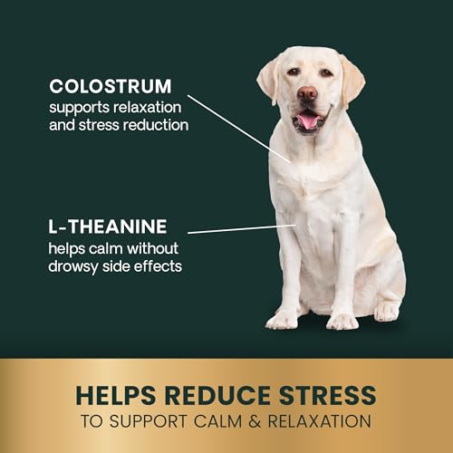 New VetriScience Composure Calm & Confident Chews | Peanut Butter, 60 Count
