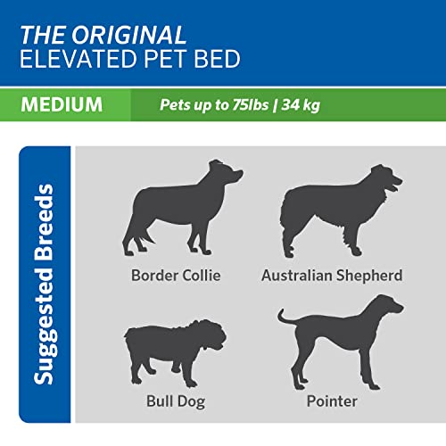 New Coolaroo Original Elevated Dog Bed | Grey, Medium