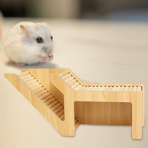 New Hamster Habitat Washable with Climbing Access | Style A